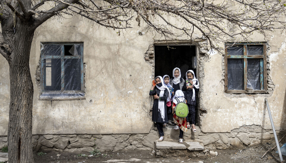 Svenska Afghanistankommittén pausar verksamheten i Afghanistan efter talibanregimens förbud mot ”svenska aktiviteter” i landet. På bilden afghanska skolflickor (arkivbild).