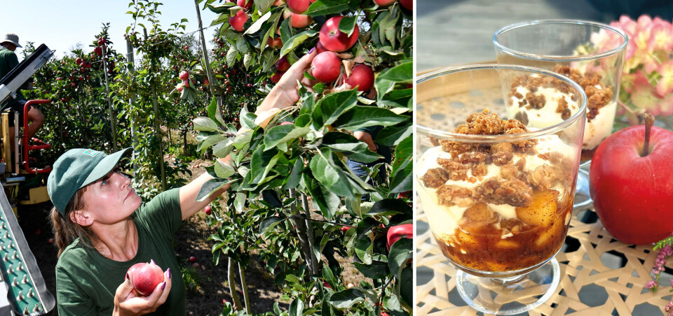 Äpplets hemligheter:6 oväntade hälsofördelar