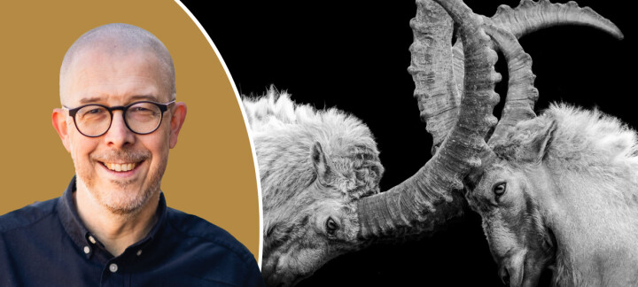 Debatten gör mig till en sämre människa